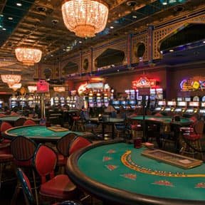 longtoto app dashboard showing sportsbook, live dealer, and slot game categories